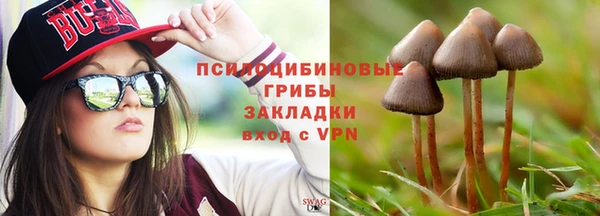 марки nbome Богданович